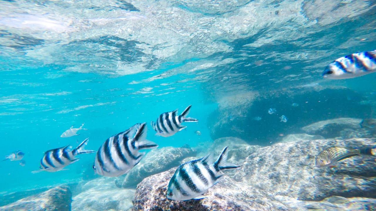 サーフ アイランド リゾート Round Island エクステリア 写真